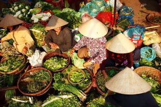 悠享越南河内下龙双飞五日游 从自然奇观到初级农产品的多彩之旅