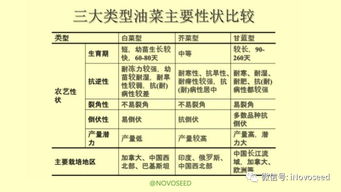 农产品基础知识系列之油菜的一生 从种子到餐桌的初探