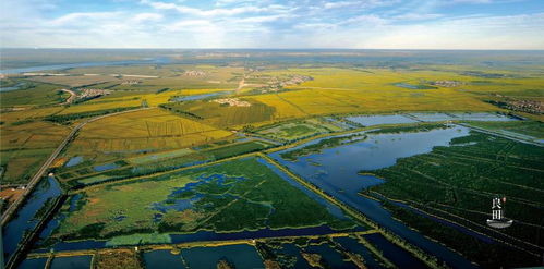肇源大米 黑土精耕的玉粒琼浆，香飘四海的北国馈赠