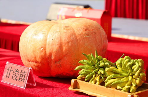 张掖甘州区 农特产品竞拍助力丰收，优质好货惠及四方