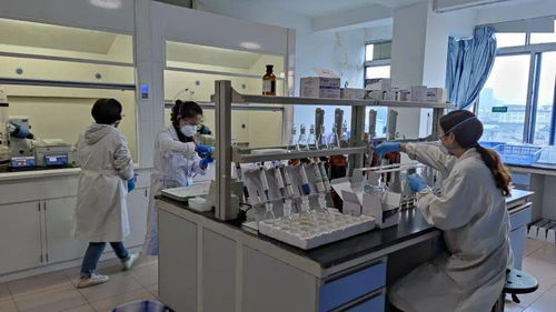 市民有约，走进农产品质检中心——零距离观摩初级农产品安全检测